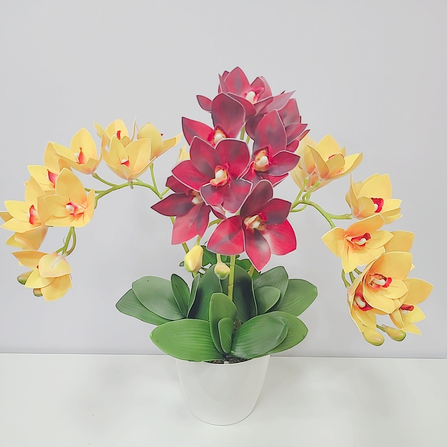 Cymbidium Orchid Flower Arrangements