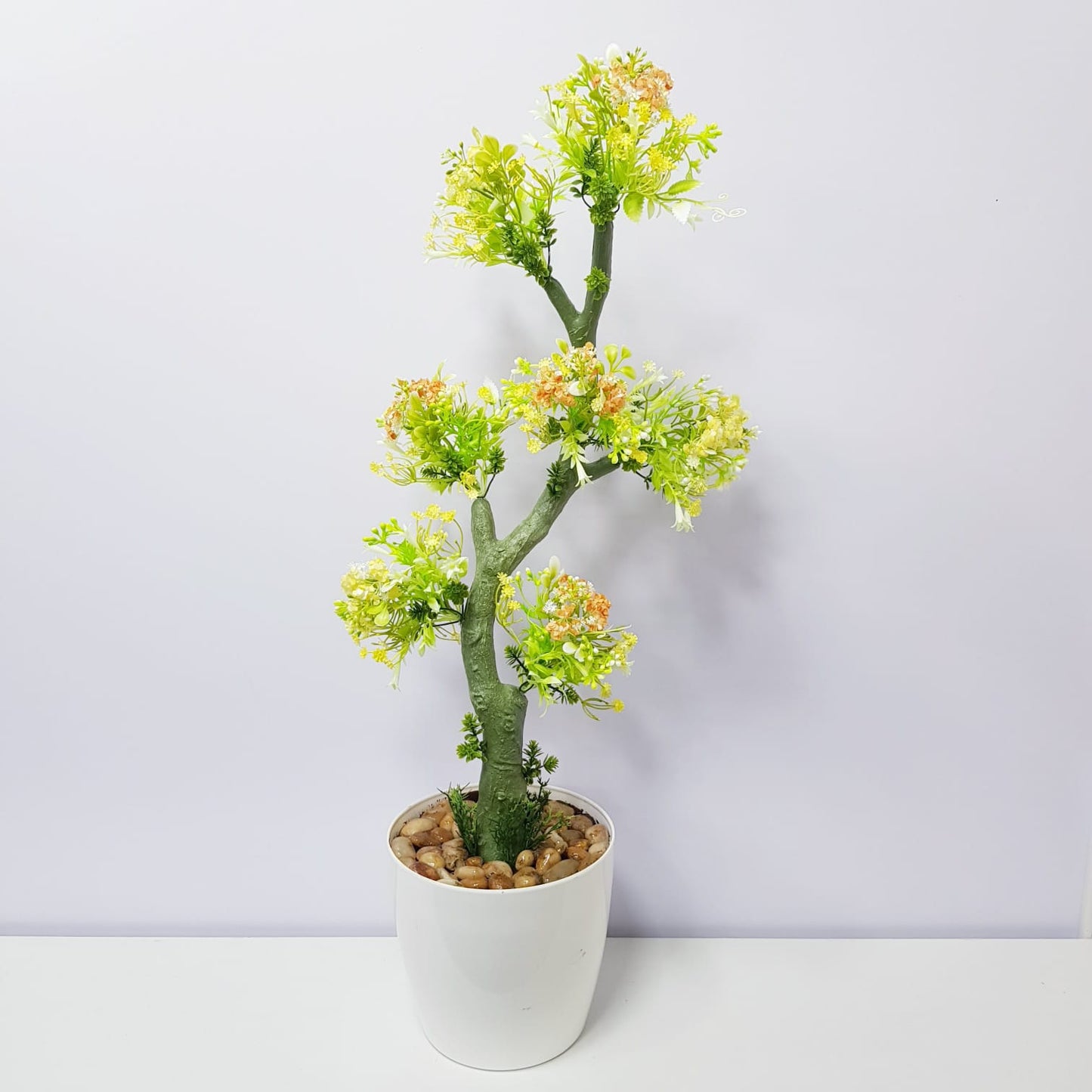 Mini Hydrangea Flower Plant